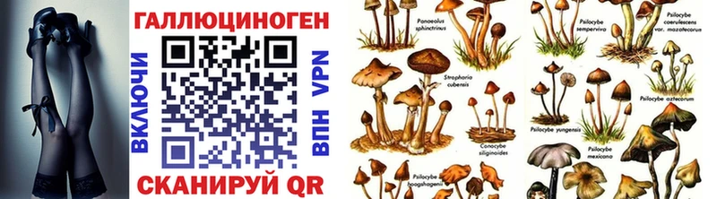Псилоцибиновые грибы GOLDEN TEACHER  Купить где  Новая Ляля 