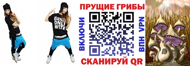Псилоцибиновые грибы мицелий Новая Ляля