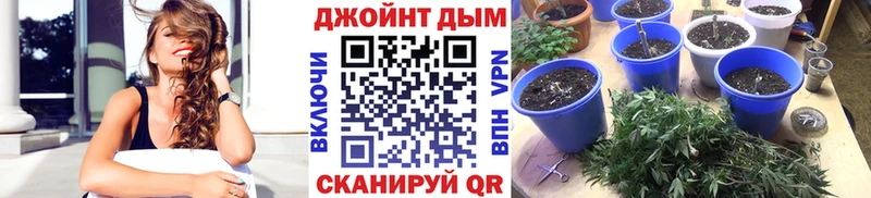 Купить где  Новая Ляля  Канабис MAZAR 